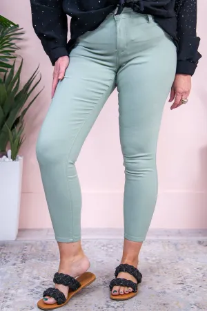 Alannah Sage Solid Jeans - K1116SG