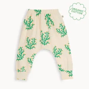 Coast - Coral Hareem Pant