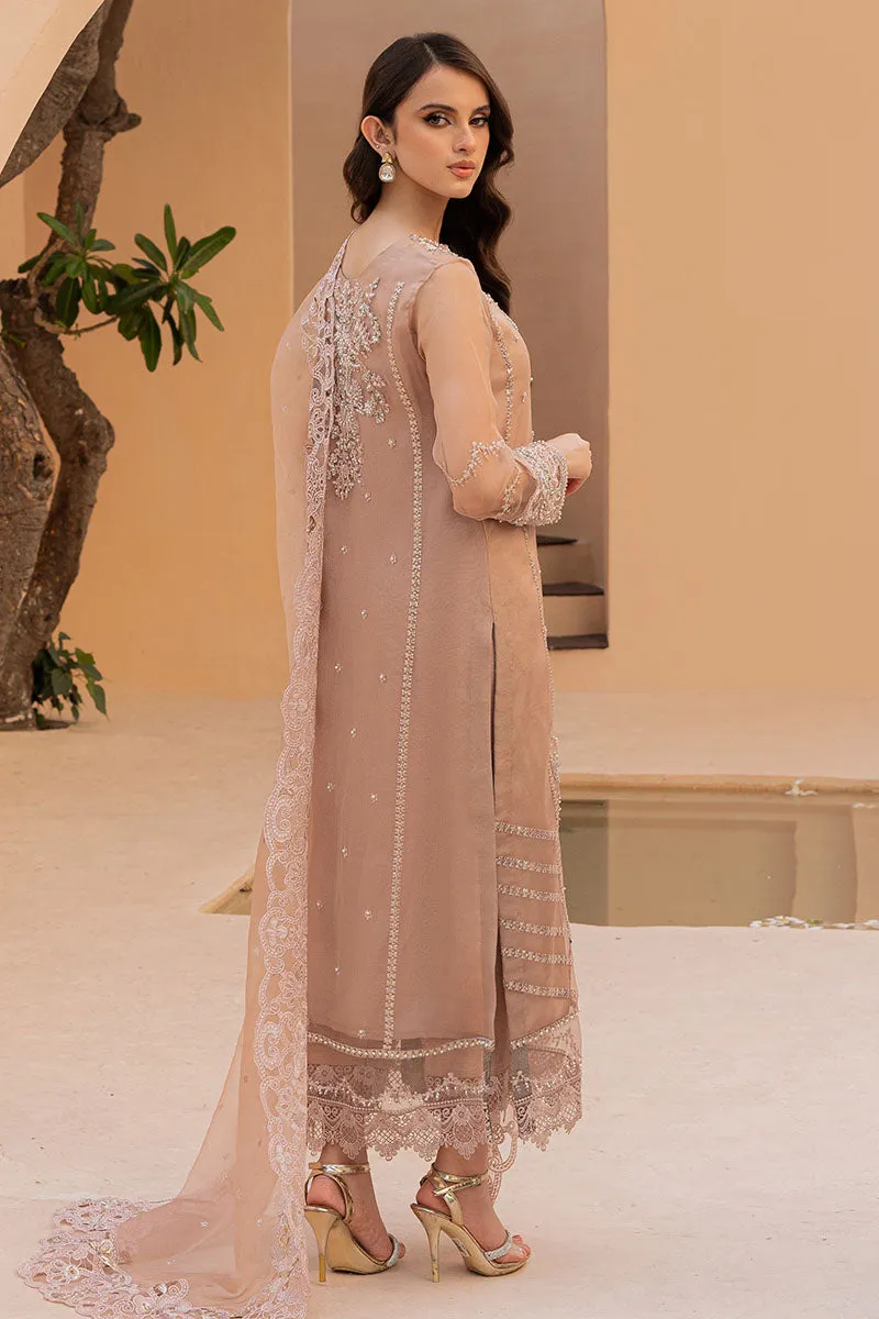 Embellished Kameez and Trouser Pakistani Wedding Dress