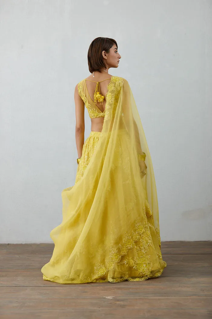 Nargis Darya Blouse