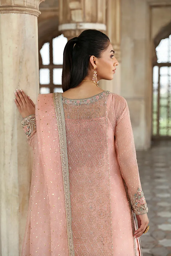Pink Pakistani Wedding Dress in Kameez Trouser Style